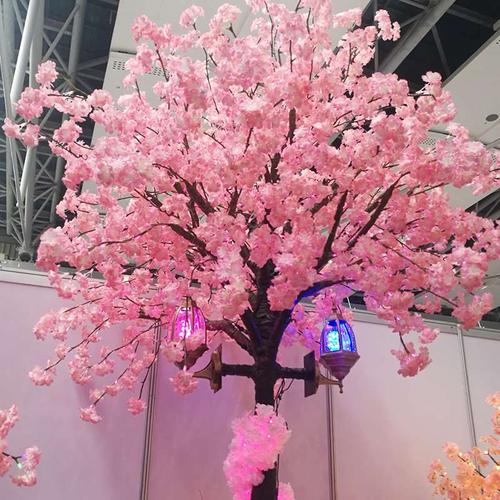 网红许愿树